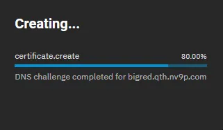 Successful DNS Challenge for Let&#x27;s Encrypt