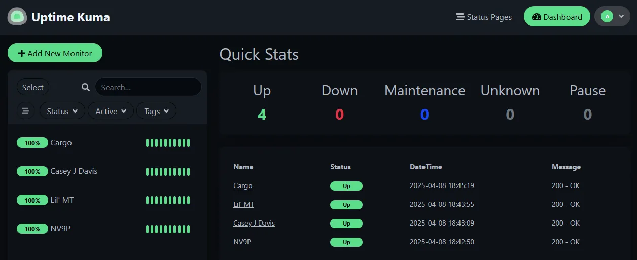 Monitoring website via Uptime Kuma as a docker container